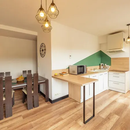 Grand Lumineux Au Centre D'aurillac Apartament *